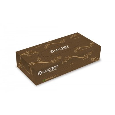 LUCART veline multiuso EcoNatural 21x20cm, 2 veli