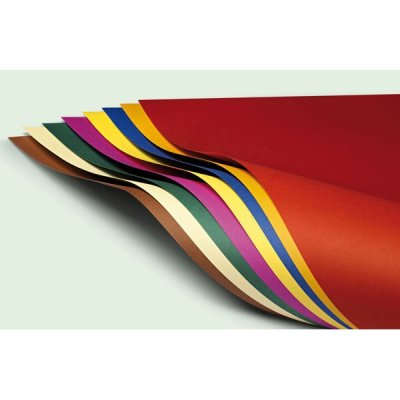Cartoncino bristol sigillo 10fg 70x100cm colore nero grammatura 200gr