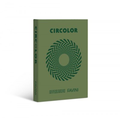 Circolor - carta a4 colore verde grammatura 80gr