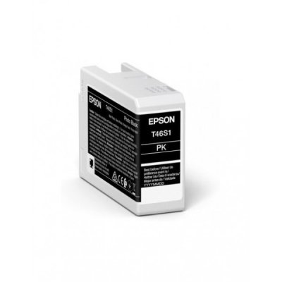 Epson Cartuccia Originale Nero Fotografico T46S1 C13T46S100