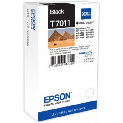 Epson Cartuccia Originale Nero T7011 (C13T70114010)