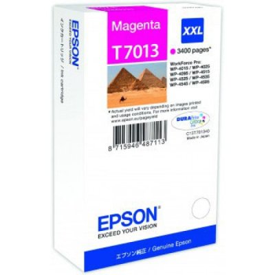 Epson Cartuccia Originale Magenta T7013 (C13T70134010)