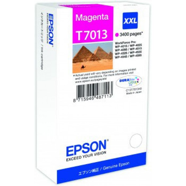 Epson Cartuccia Originale Magenta T7013 (C13T70134010)