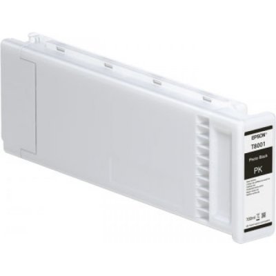 Epson Cartuccia Originale Nero Fotografico T8001 C13T800100