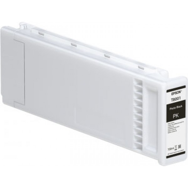 Epson Cartuccia Originale Nero Fotografico T8001 C13T800100