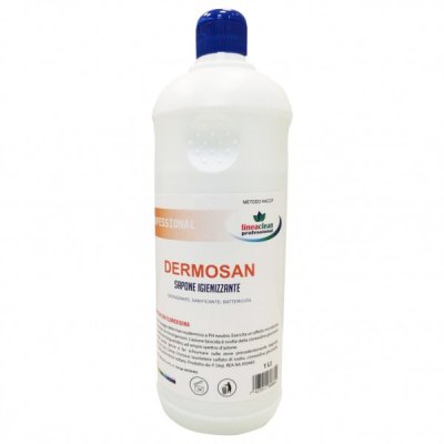 CLEAN PROFESSIONAL crema di sapone antisettica e sanificante