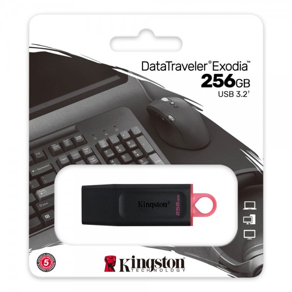 KINGSTON chiavetta USB 3.2 da 256GB