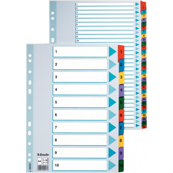 Divisori in ppl colore assortiti grammatura 160gr