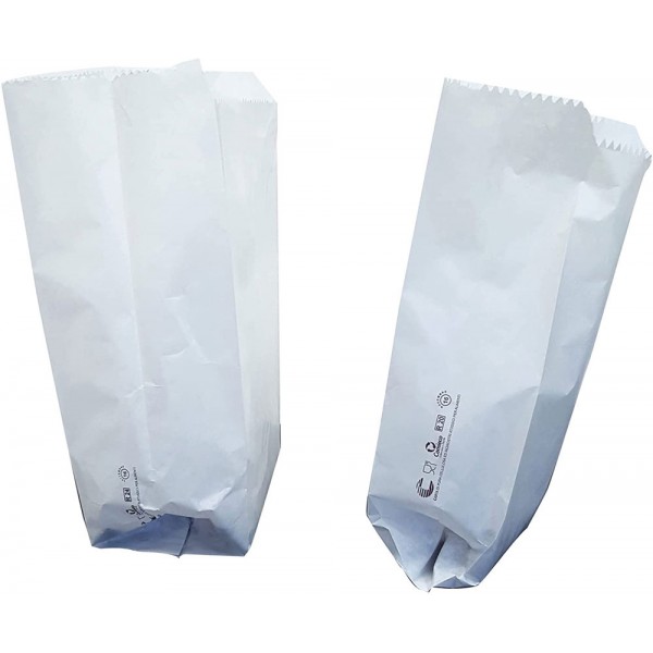 Sacchetti kraft colore bianco