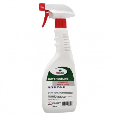 CLEAN PROFESSIONAL sgrassatore professionale, rimuove grasso e residui organici da cappe, piani cottura, cucine, friggitrici