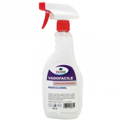 CLEAN PROFESSIONAL sgrassatore e smacchiatore