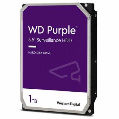 Hdd interno 3.5" - satai 1tb - purple colore viola