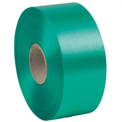 E-line - nastro liscio 6800 colore verde bandiera