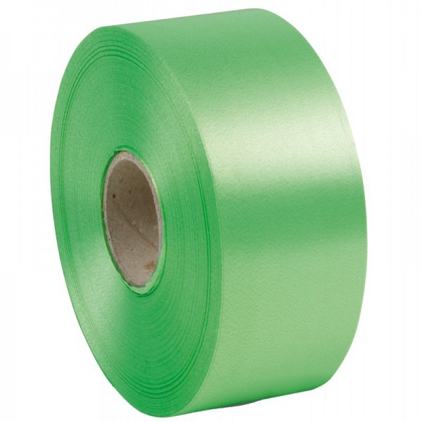 E-line - nastro liscio 6800 colore verde chiaro