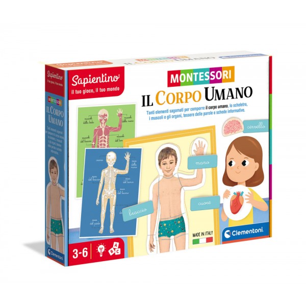 Montessori - corpo umano