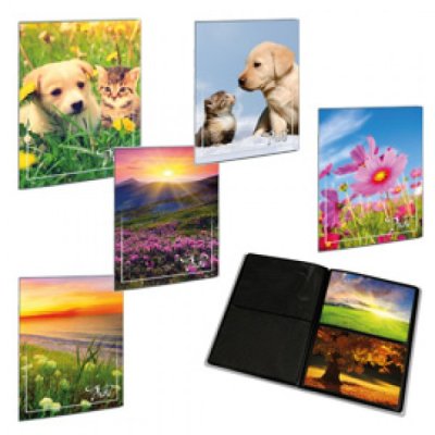 Album per foto colore assortiti