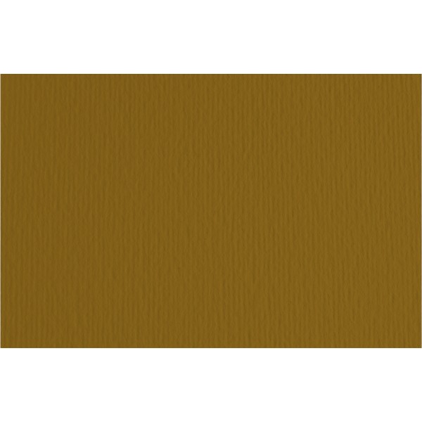 Cartoncino bristol 20fg, 50x70cm colore marrone grammatura 220gr