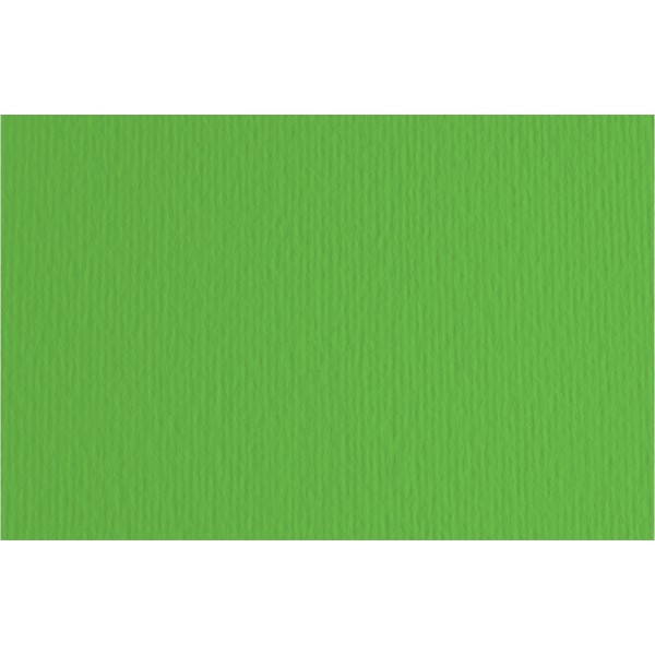 Cartoncino bristol 20fg, 50x70cm colore verde grammatura 220gr