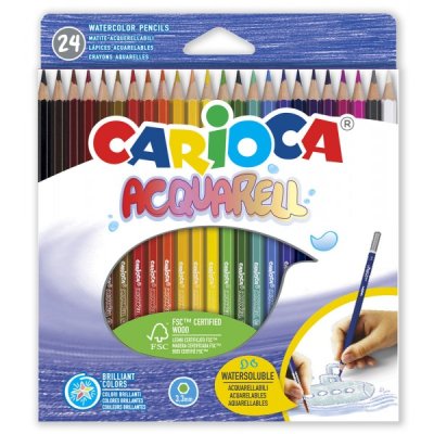 Pastelli acquerellabili acquarell colore assortiti