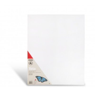 Tela con telaio bianco 40x50cm