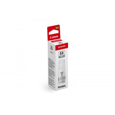 Inchiostro Canon GI-53 GY 4708C001 flacone Grigio originale