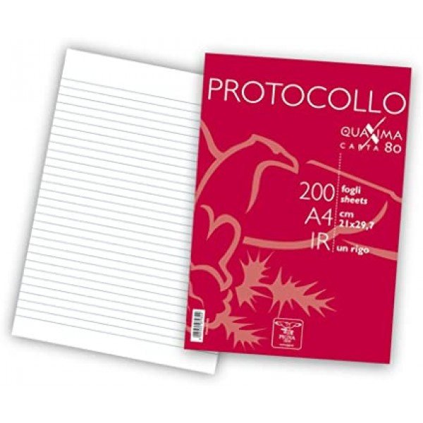 Fogli protocollo colore bianco grammatura 80gr